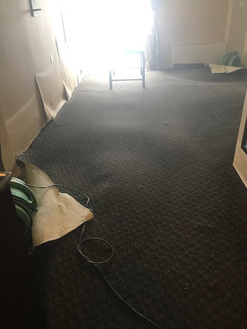 Wet carpet in water damaged property in Queens, NY.