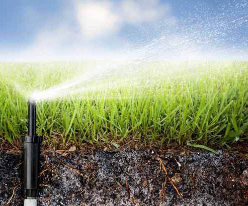 Image 2 | Robert Walker Sprinkler Repair and Landscaping