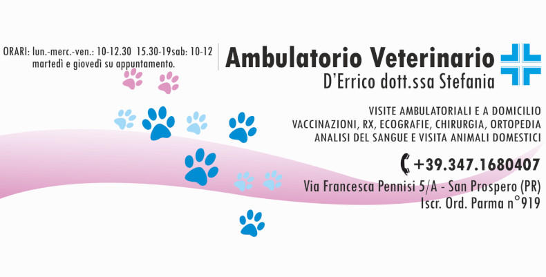 Images Ambulatorio Veterinario D'Errico Dott.ssa Stefania