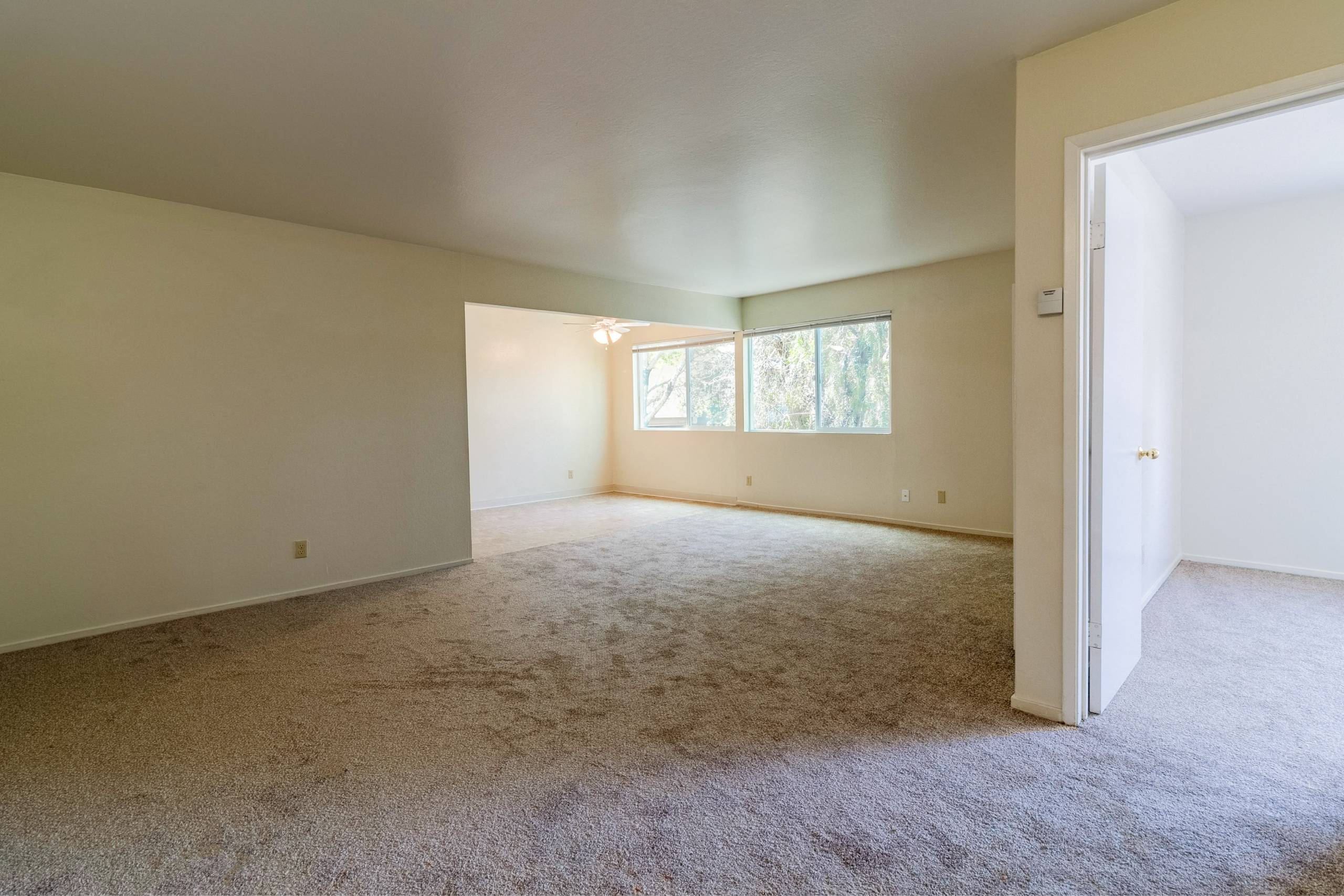 A room with a carpeted floor and a window with blinds.
