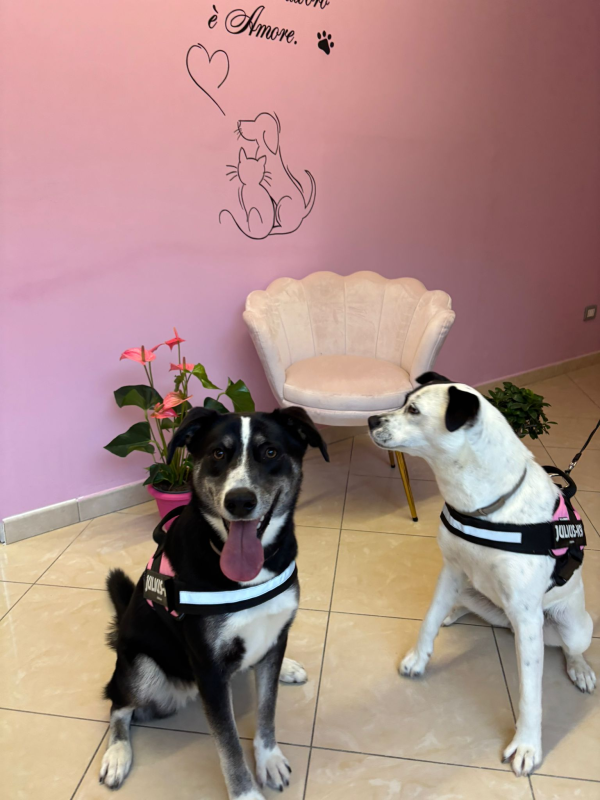 Images Bagnetto E Coccole