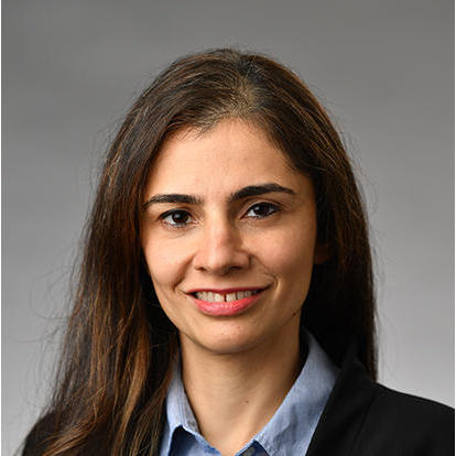 Dr. Ava B Anklesaria, MD - Bronx, NY - Internal Medicine, Gastroenterologist