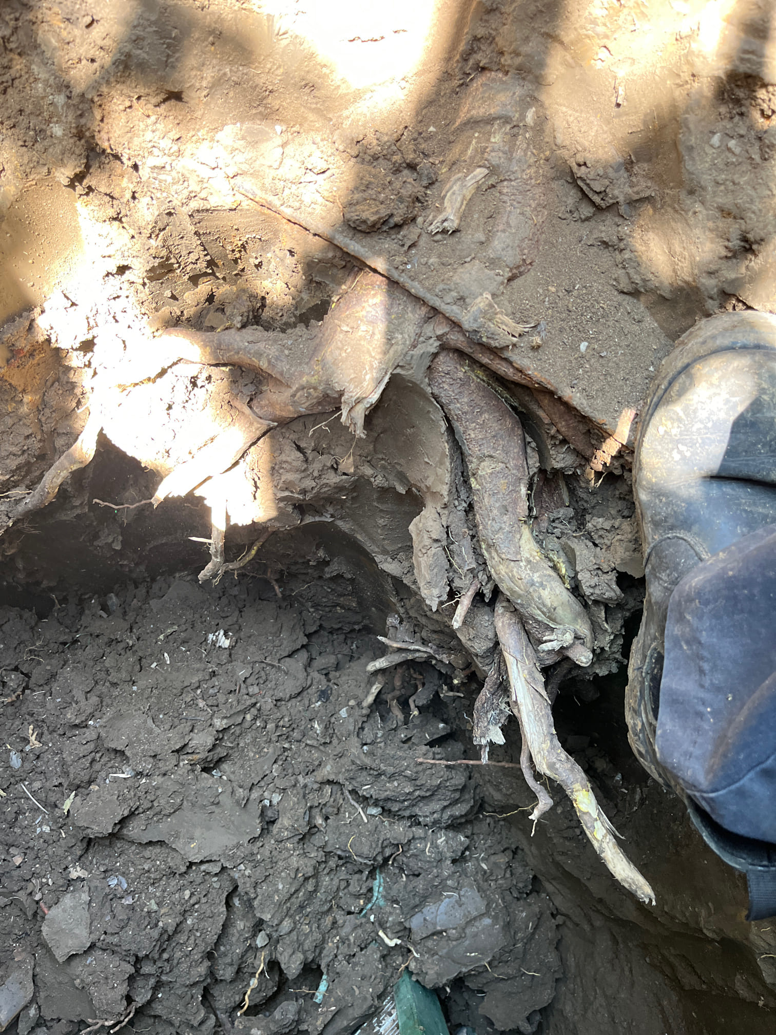 Work in progress  No job too big or small! Give us a call if we can help - We're open 24/7  From clogged sinks to street jobs - We do it all! Proudly serving Los Angeles, Orange County and San Diego.