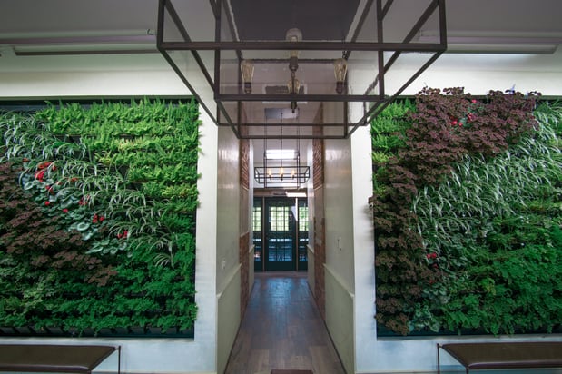 Images Holiday Inn Express & Suites Pittsfield-Lenox-Berkshires by IHG