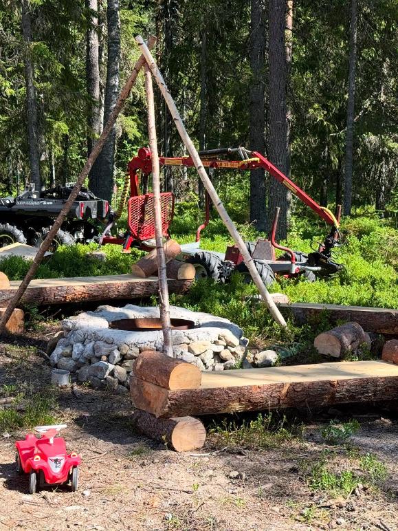 Images Umeå Trädservice