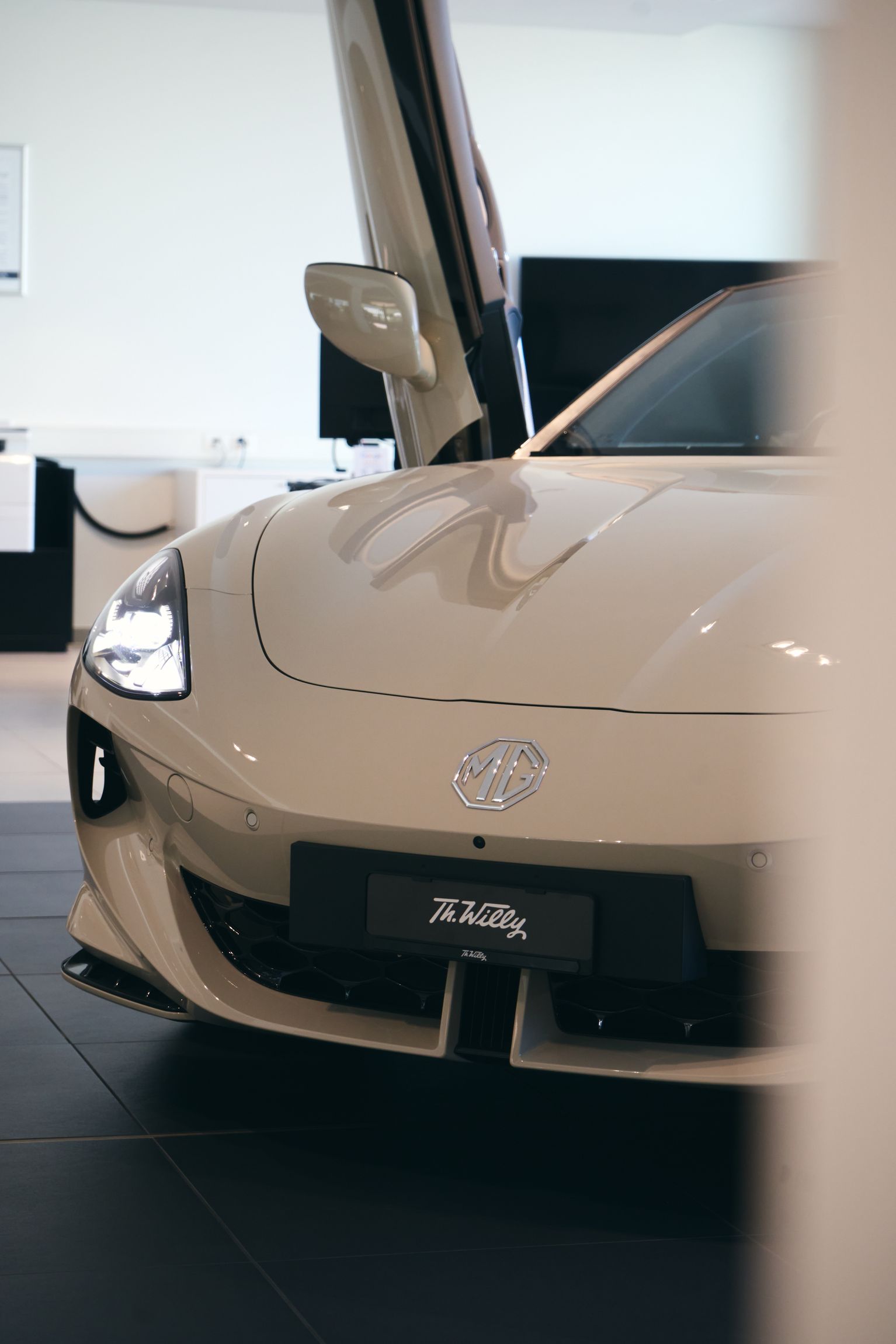 Bilder Th. Willy Zürich-Schlieren