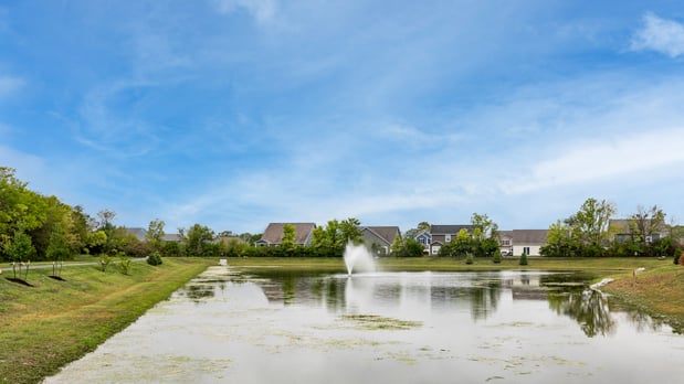 Images Meridian Homes at Sycamore Drive | Brand New Homes for Rent