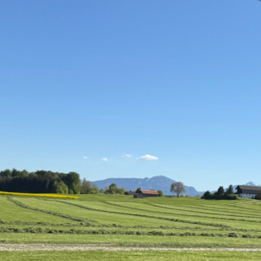 Gut Pfotental Tierfutter in Mettenheim