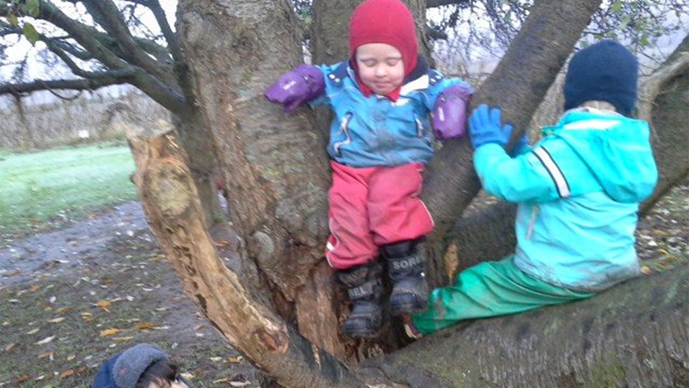 Images Framtidens förskola Ekokidz