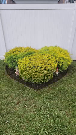 Images Ultra Landscaping LLC