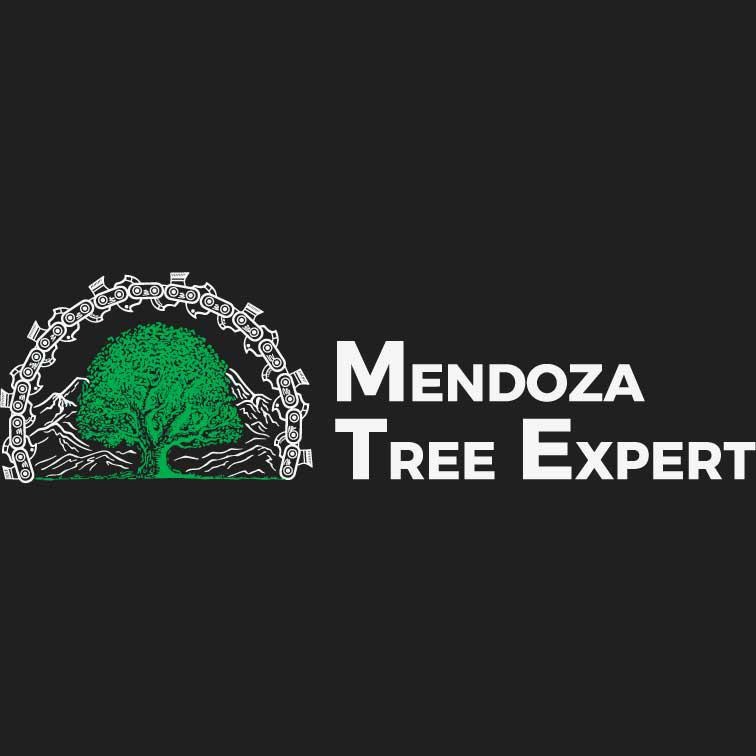 Mendoza Tree Expert Logo