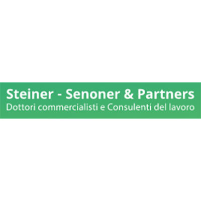 Steiner - Senoner E Partners Logo