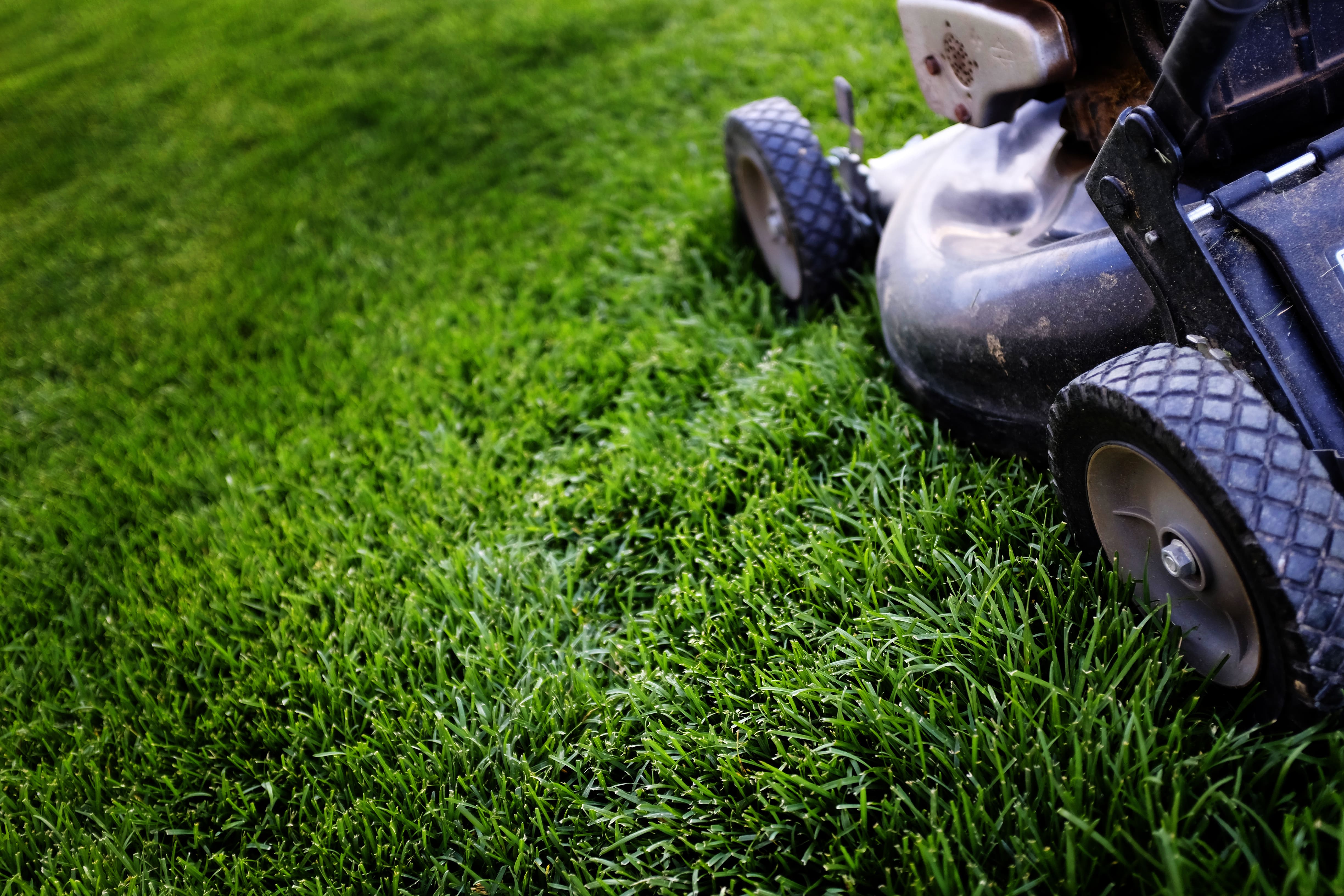 Executive Lawn Care 1