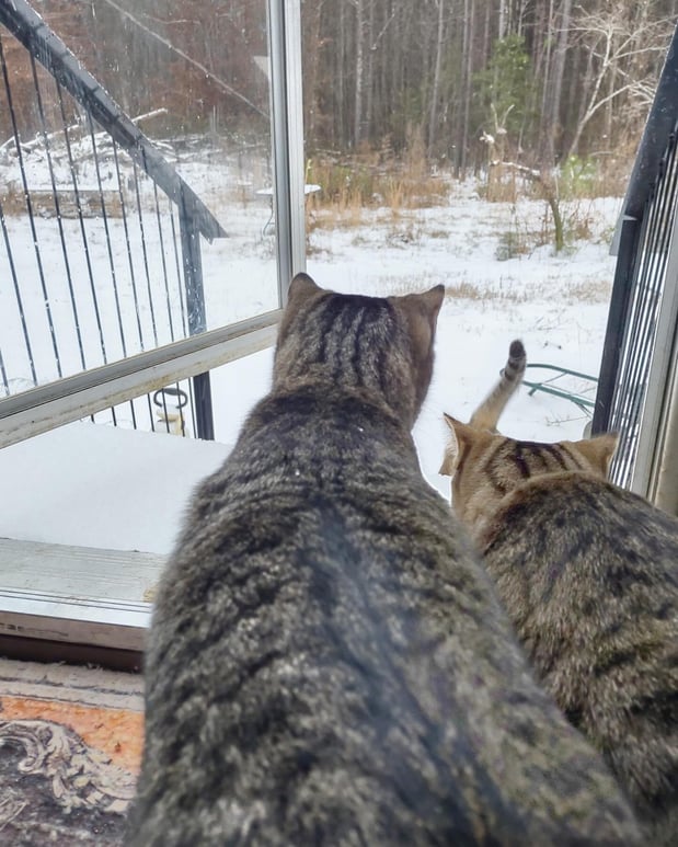 Images Matthew Maniscalco - State Farm Insurance Agent