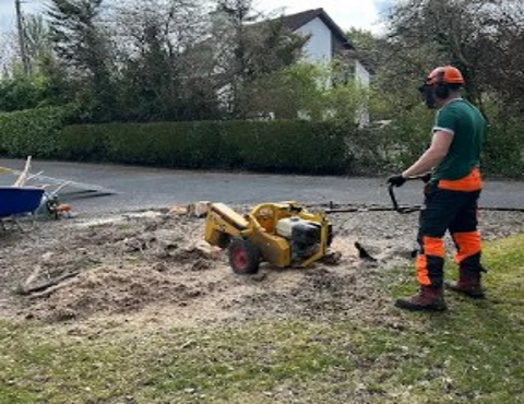 Greenfell Tree Services 2