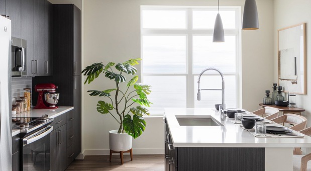 Images BLVD at Revere Beach Apartments