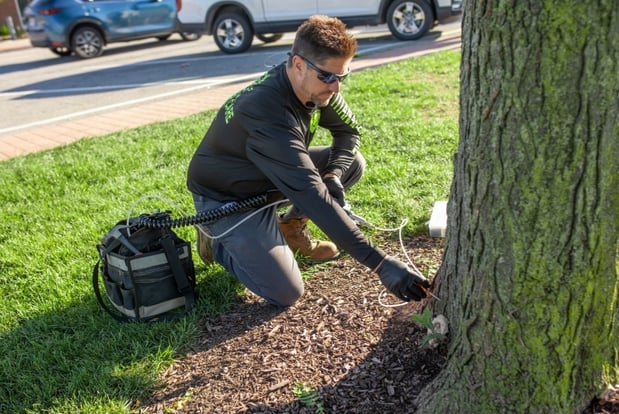 Images Titan Arbor Care Tree Service