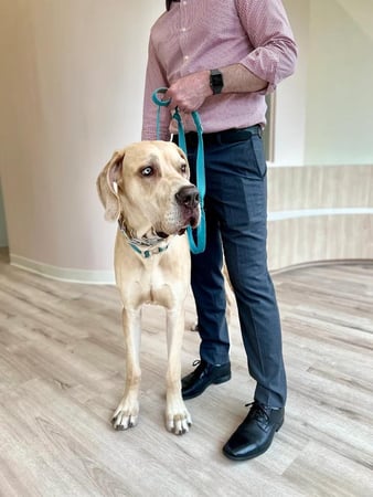 Images Petfolk Veterinary & Urgent Care - Mansfield