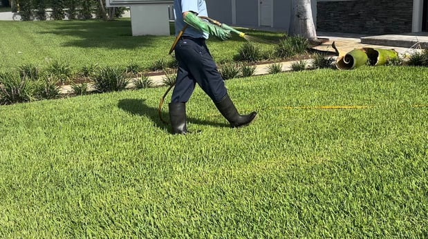 Images JD Smith Pest Control