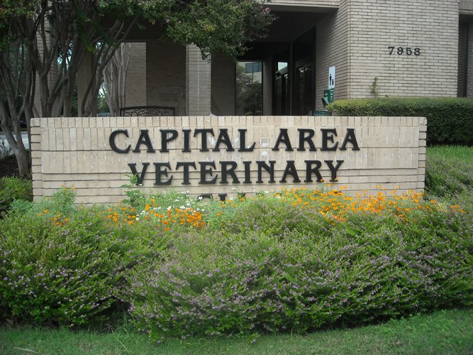 VCA Capital Area Veterinary Specialists