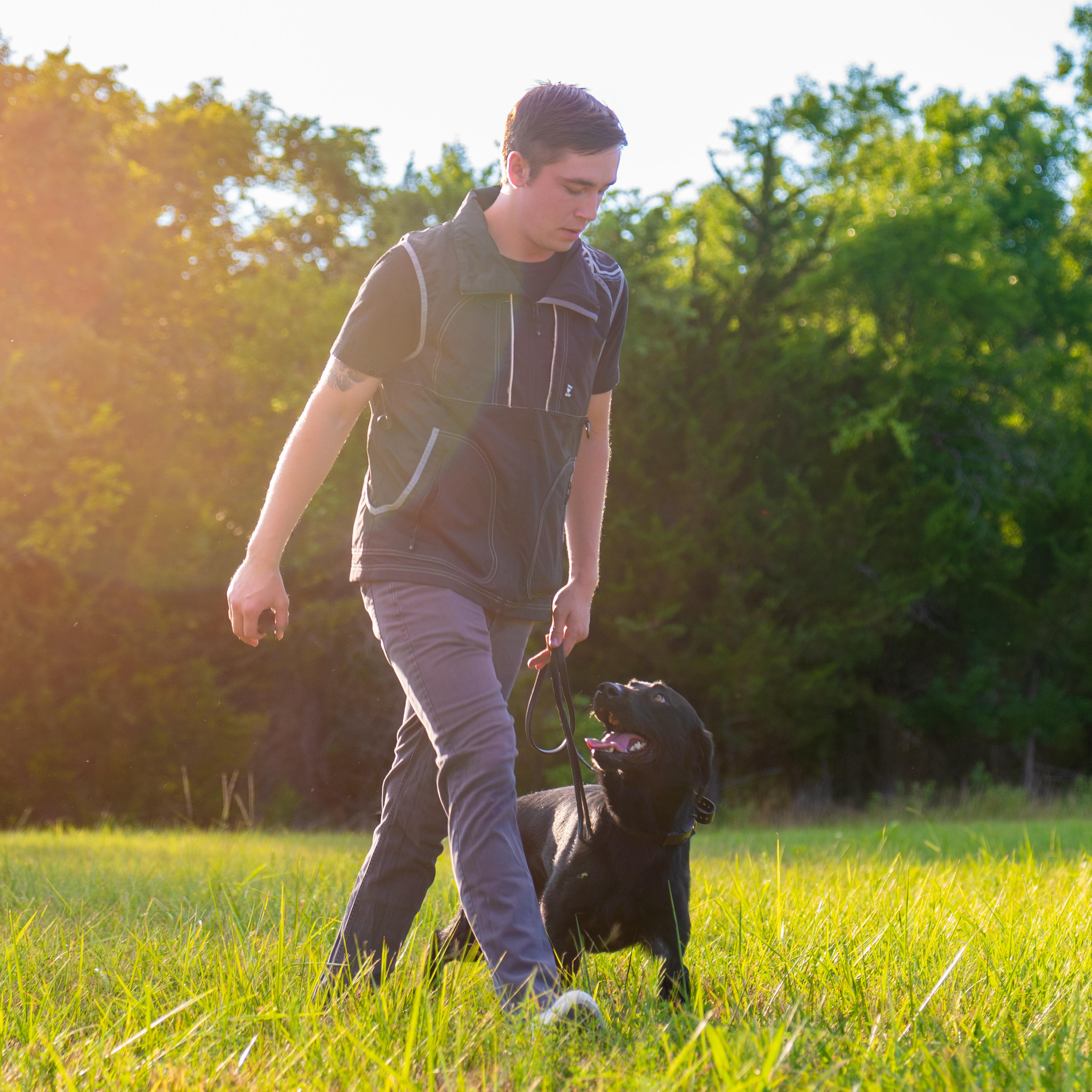 dog learning to walk outside on a leash