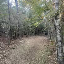 ML3 Land Service Image