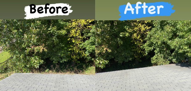 Images Always On Point Pressure Washing