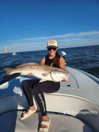 Images Eastern Tailz Outfitters