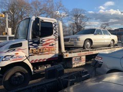 Freedom Towing & Transport Photo