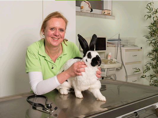 Bilder Tierarztpraxis Petra Scheunert