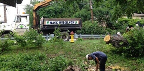 Images BJ Tree Service, LLC & Mack Mulch, LLC