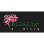LOGO Blossom Florist Chelmsford 01245 708085