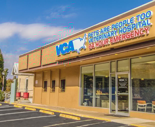 Images VCA Midtown Animal Hospital