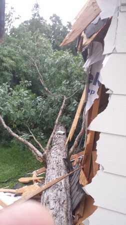 Images TNT Tree Service