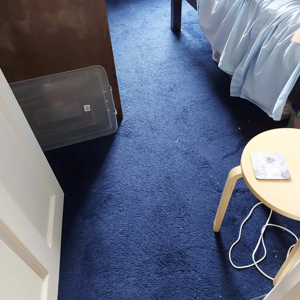 Images Titanium Cleaning