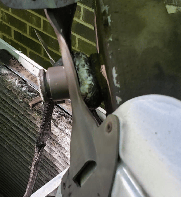 Images Repair Solutions