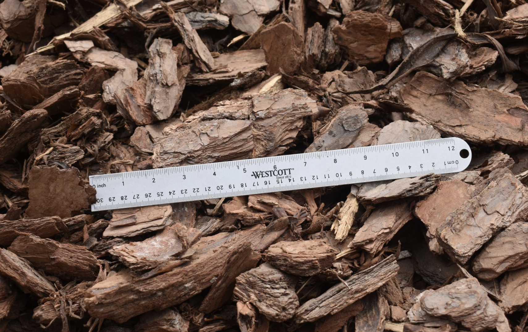 Pine Bark Nugget Large Mulch Bulk (per cy. yd.)
Ideal for extensive coverage, sold per cubic yard.
Natural pine bark material enhances soil health.
Large nuggets provide long-lasting ground cover.
When it comes to landscaping, mulch is one of the most versatile materials available. It helps your plants retain moisture, reduces weed growth, and protects the delicate roots from extreme heat and cold. It also looks great when you use it as a border around trees, shrubs, flower beds, and other areas. APEX
Cary
Fuquay-Varina
Holly Springs
New Hill
Morrisville
Feltonville
Friendship
Moncure
Wilsonville
Bells
Pittsboro
DURHAM
Morrisville
Research Triangle Park
Cary
Carpenter Village
Clegg
Carrboro
Genlee
Southpoint
Bethesda
Mebane
Blands
Oak Grove
Chapel Hill
Hillsborough
Friendship
RALEIGH
Rolesville
Knightdale
Wake Forest
Wendell
Zebulon
Youngsville
Lizard Lilck
Eagle Rock
Wakefield
GARNER
Clayton
Willow Springs
Smithfield
Wilsons Mills
Archer Lodge
Fuquay-Varina
White Oak
Glen Laurel Road
Auburn
Turner Farms
Clevelands Oaks
Riverwood Dr
Flowers
McGee Crossroads
Siteone Landscape Supply
Triangle Landscape Supplies