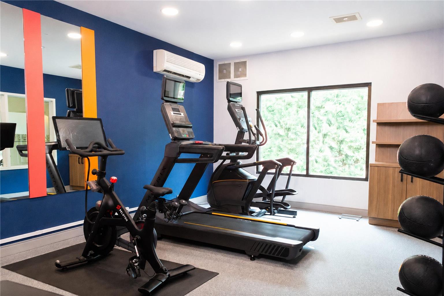 Health club  fitness center  gym 