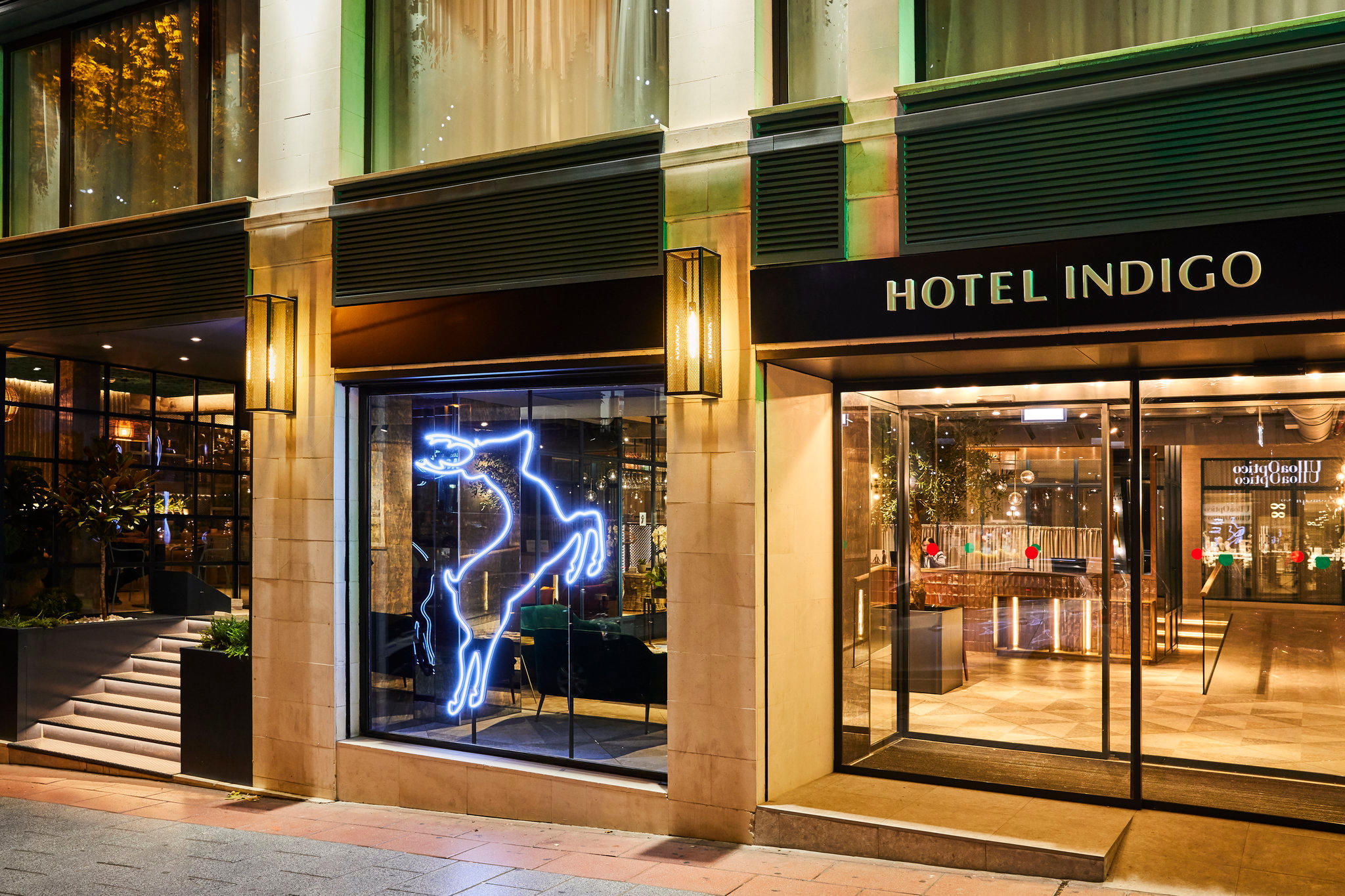 Images Hotel Indigo Madrid - Princesa, an IHG Hotel
