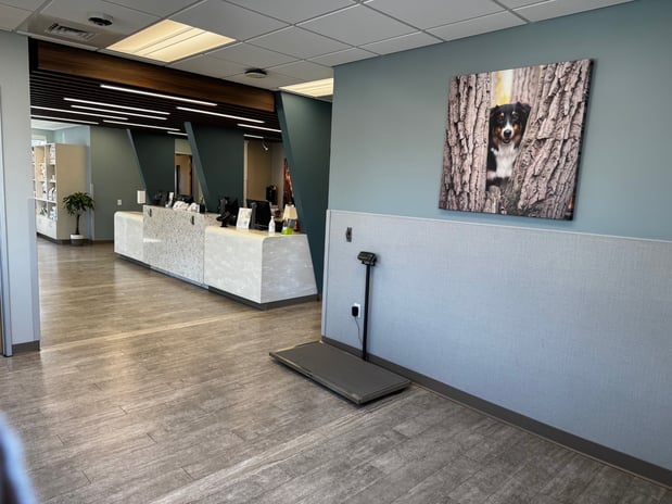 Images VCA Cottonwood Animal Hospital