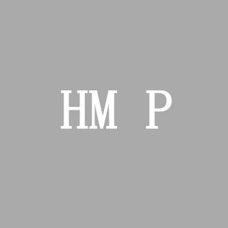 HM Projects Logo