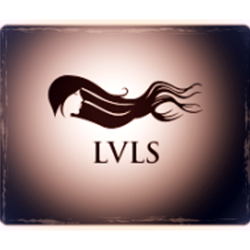 Lvls Salon Llc