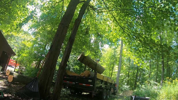 Images L&M Tree Service