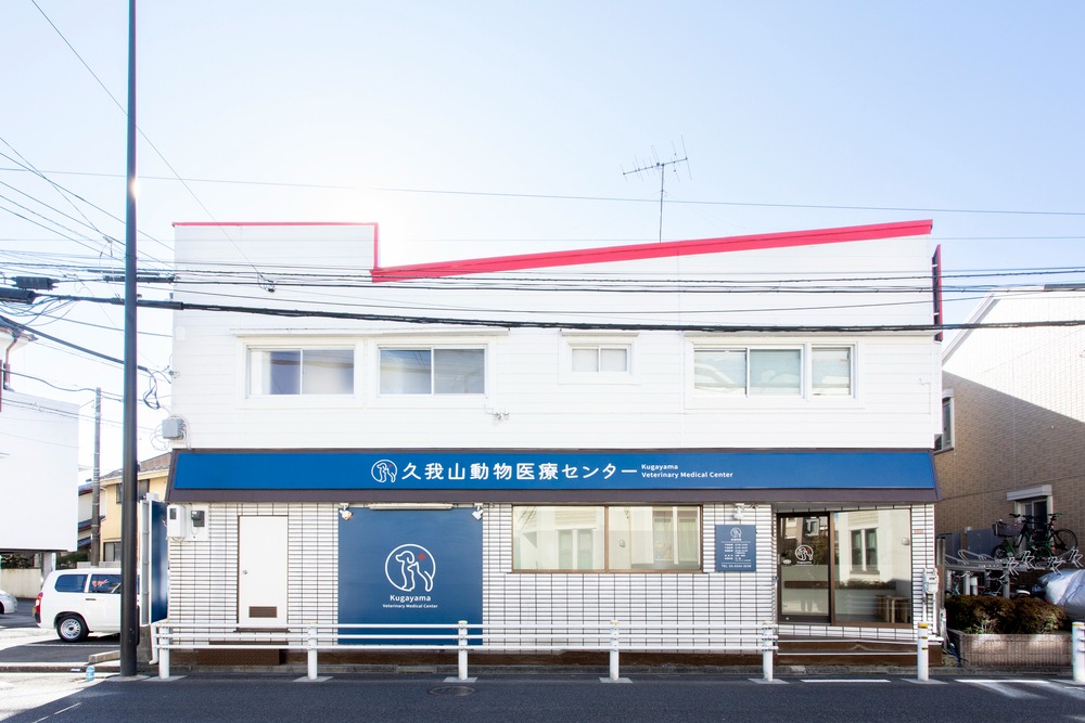 Images 久我山動物医療センター