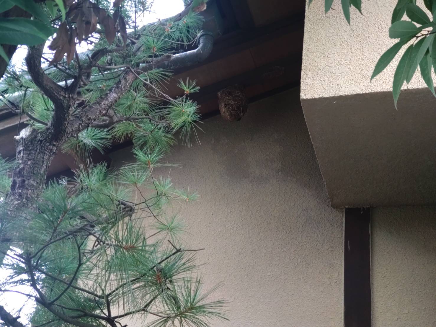 Images 富山安心駆除サービス