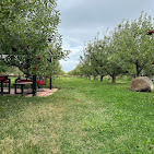 Images Red Mountain Ranches