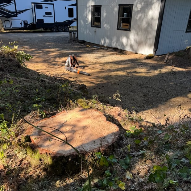 Images Alexa's Tree Service