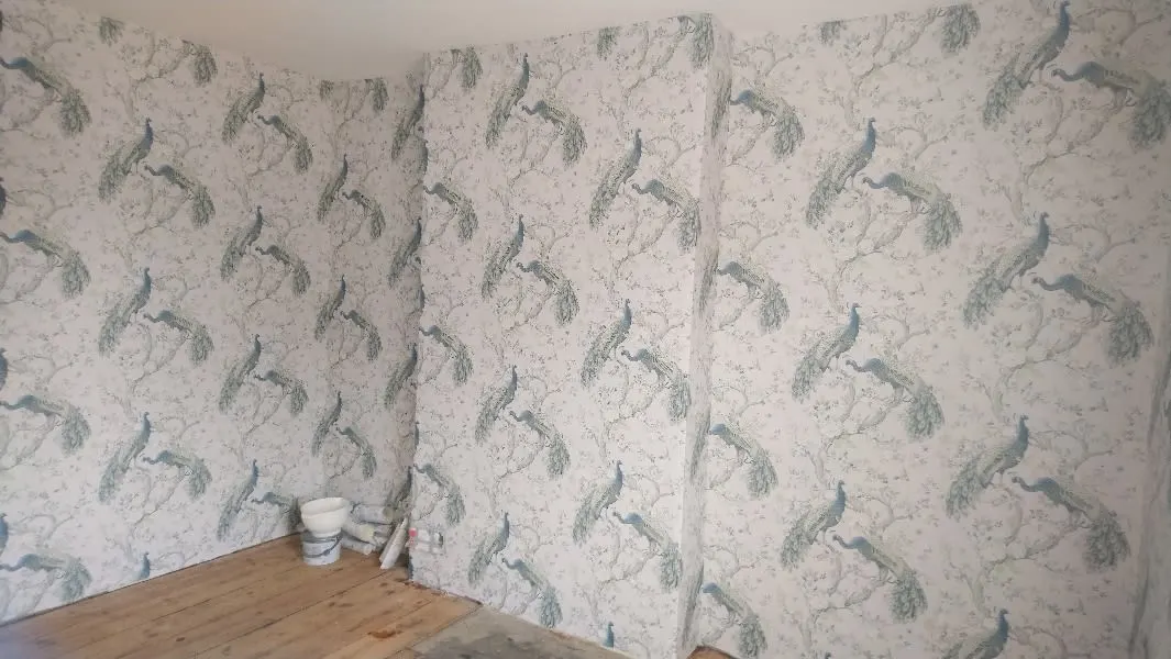 Images Simon Scrimshaw Painting & Decorating