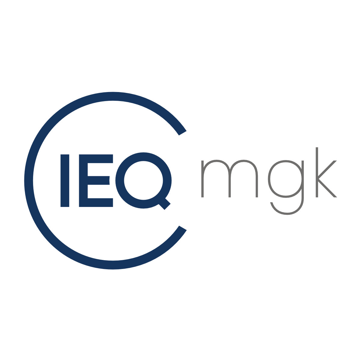 ieQ-systems mgk GmbH  