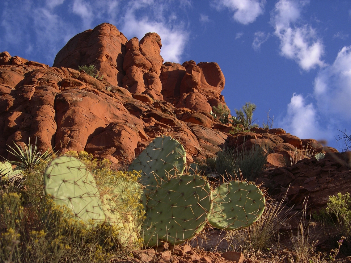 Fay Canyon